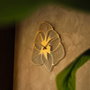 Wallity Reloj de Pared Metal APS039 - Dorado, 70 x 70 cm, Mecanismo Silencioso, Decorativo